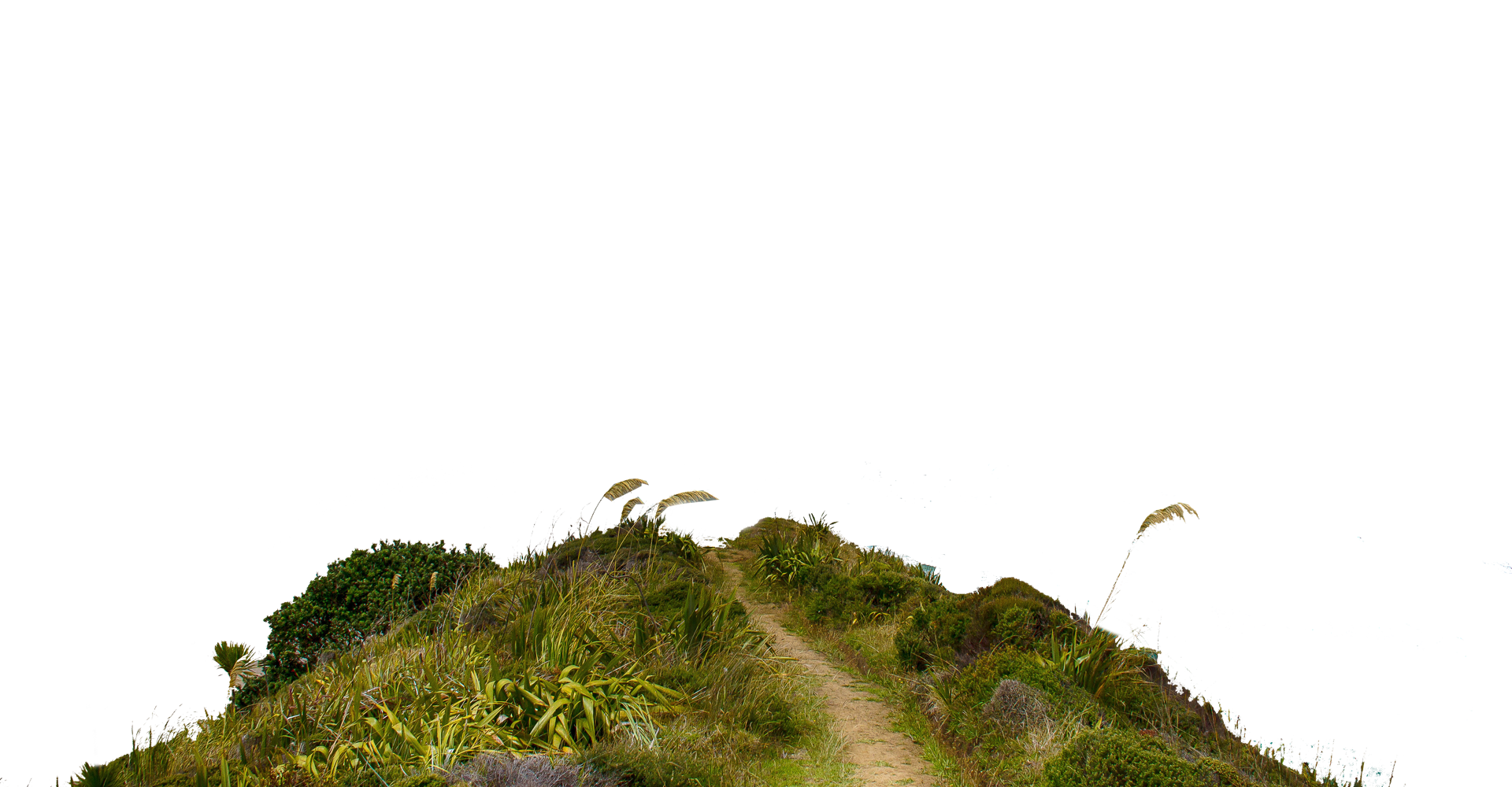 image-3
